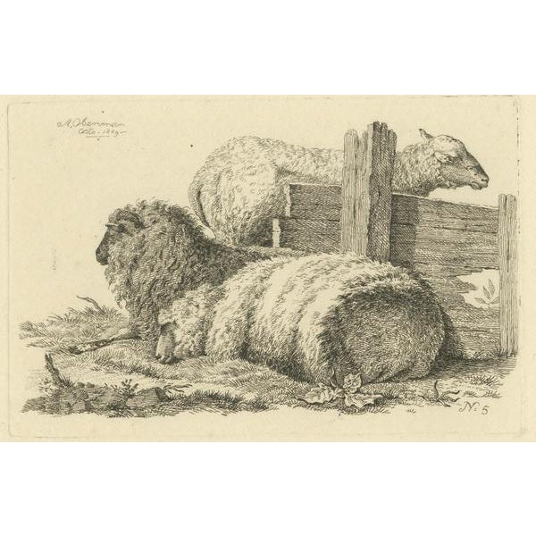 Paper Oberman, Three Sheep Resting, 1810, Etching on Paper For Sale - Image 7 of 9