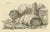 Paper Oberman, Three Sheep Resting, 1810, Etching on Paper For Sale - Image 7 of 9