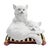 Ceramic Mid 20th Century Mid-Century Italian Ceramic Cats on Cushion by Ceccarelli Sculpture For Sale - Image 7 of 10