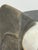African Punu-Style Carved Wood Mask For Sale In San Francisco - Image 6 of 12