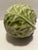Mid 20th Century Ceramic Cabbage For Sale - Image 9 of 12