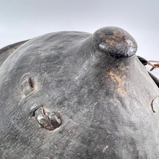 Black Early 20th Century Amarro Arussi Leather Shield Ethiopia For Sale - Image 8 of 11