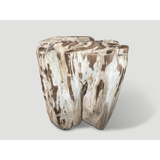 Andrianna Shamaris Ancient Sculptural Petrified Wood Side Table For Sale - Image 13 of 18