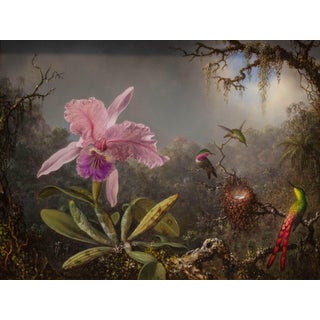 1871 Vintage Hummingbird and Orchid Tropical Art Print by Martin Johnson Heade - 40" X 30" For Sale