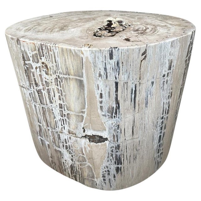 Andrianna Shamaris Exquisite High Quality Petrified Wood Side Table or Pedestal For Sale - Image 15 of 18