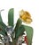 Vintage Italian Tole Peinte Barrel Potted Floral Arrangement Sculpture / Toleware Floral With Daffodils & Bluebells, Made in Italy, a Pair For Sale - Image 4 of 6
