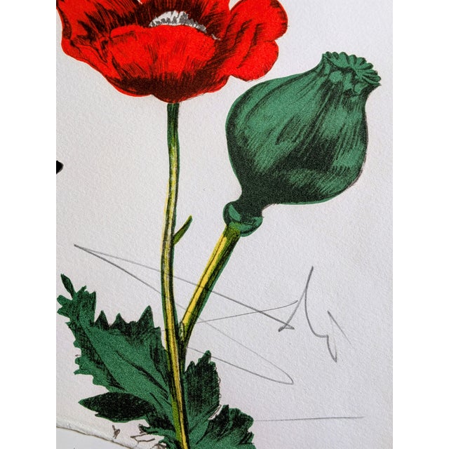 Salvador Dali, Autumn (M&L 1370), 1972, Hand-Signed Original Color Lithograph For Sale - Image 14 of 18