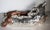 Figurative 1990s D’Argenta – Jolly - Silver-Plated Leopard Sculpture – No. 272/500 - 24" L For Sale - Image 3 of 7