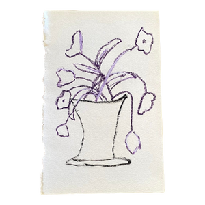 “Una Base De Flores” No. 2