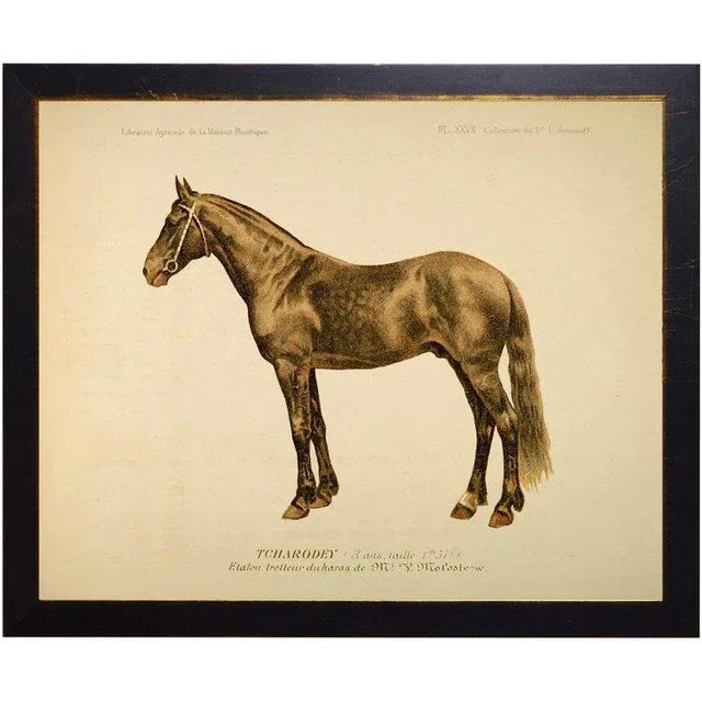 Rustic Country Print of Wally the Horse Bookplate - 26x20 For Sale - Image 3 of 3