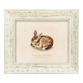 Reproduction Vintage Fawn Art Print (3) in Vintage Whitewashed Frame For Sale