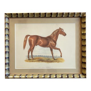 Antique George Frederick Horse Print in Patterned Gilt Frame - Ready to Hang For Sale