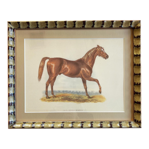 Antique George Frederick Horse Print in Patterned Gilt Frame - Ready to Hang