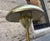 1950s Vintage Brass Table Lamp, 1950s For Sale - Image 5 of 10