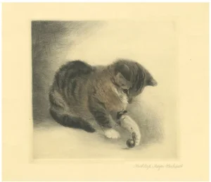 Kurt Meyer-Eberhardt, Kitten Playing with a Marble, 1977, Estate Print