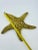 Mid 20th Century Solid Brass Starfish For Sale - Image 11 of 12