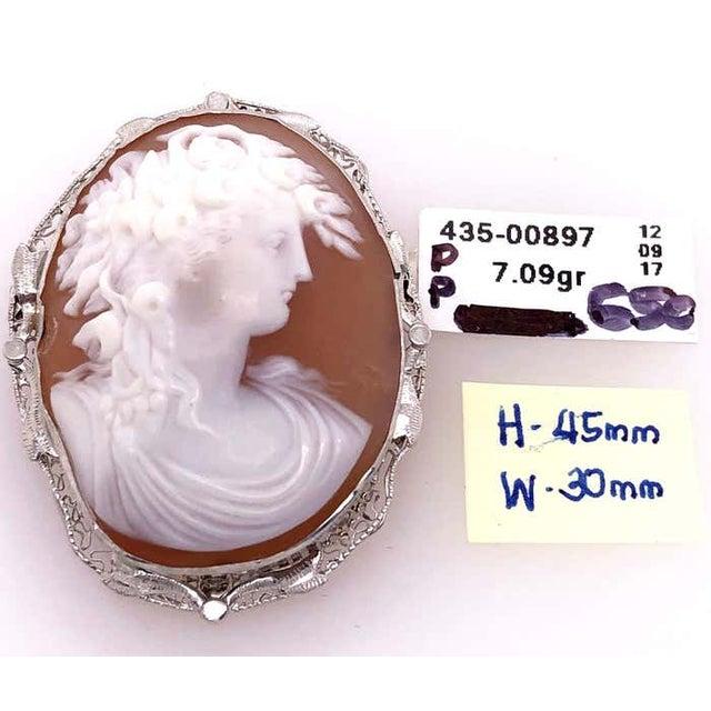14 Karat White Gold Cameo Pendant/Brooch. 7.09 grams total weight Height: 45 mm Width: 30 mm