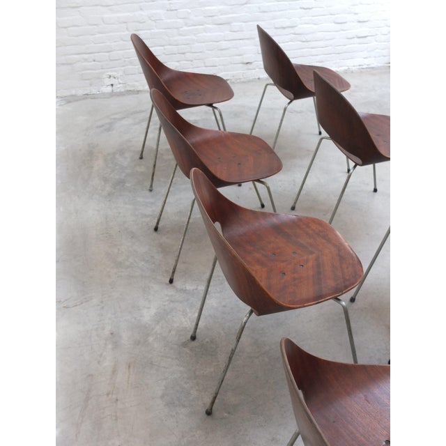 Sl58 Chairs by Léon Stynen, 1958, Set of 8 For Sale - Image 16 of 18