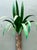 Vintage Monumental Punch Cut Palm Trees - A Pair For Sale - Image 12 of 12