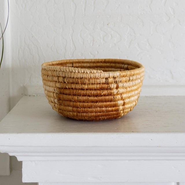 Native American Style Pine Needle and Natural Fiber Coil Basket or Bowl For Sale - Image 13 of 17