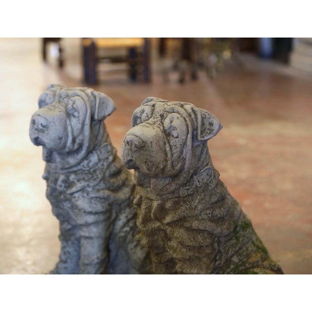 Pair of Vintage French Weathered Stone Shar-Pei Garden Dog Sculptures For Sale - Image 4 of 7