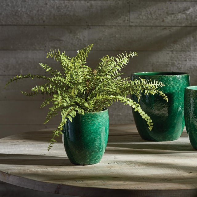 Realism Boston Fern Drop-In 16" For Sale - Image 3 of 6