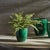 Realism Boston Fern Drop-In 16" For Sale - Image 3 of 6