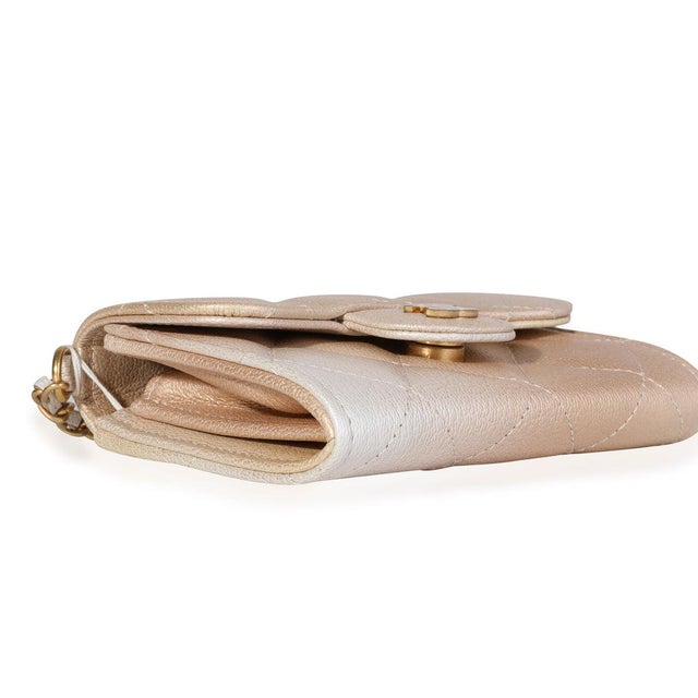 Animal Skin Gold Metallic Ombré Quilted Goatskin Classic Mini Clutch with Chain For Sale - Image 7 of 7