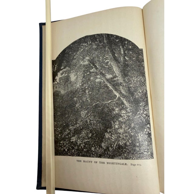 Art Nouveau The Poetical Works of Jean Ingelow Published New York Thomas Y. Cromwell 1863 For Sale - Image 3 of 12
