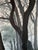 Contemporary Steve Schaaf "Into the Mist" For Sale - Image 18 of 18