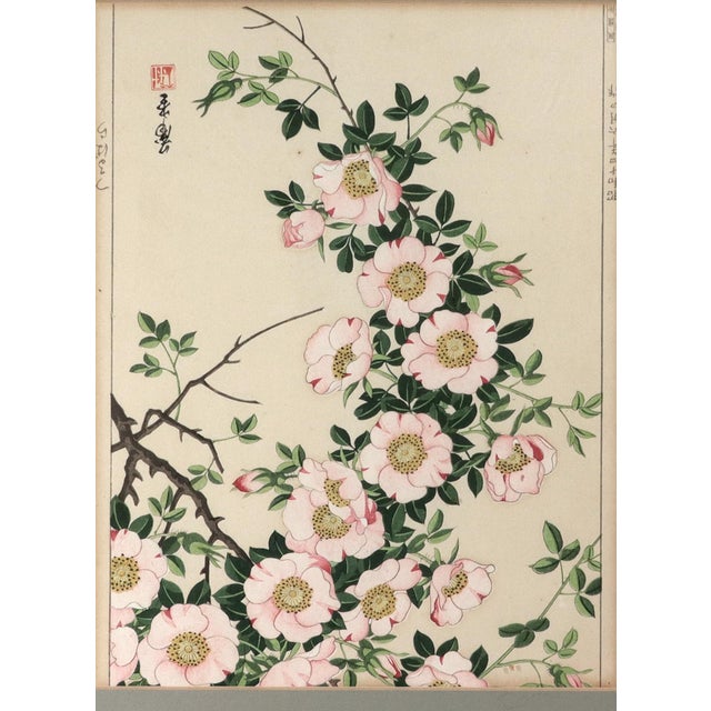 Japanese WoodblWild Rose Grace: Japanese Woodblock Botanical Print by Tanigami Kōnon Showa 14 (June 1939) This exquisitely...