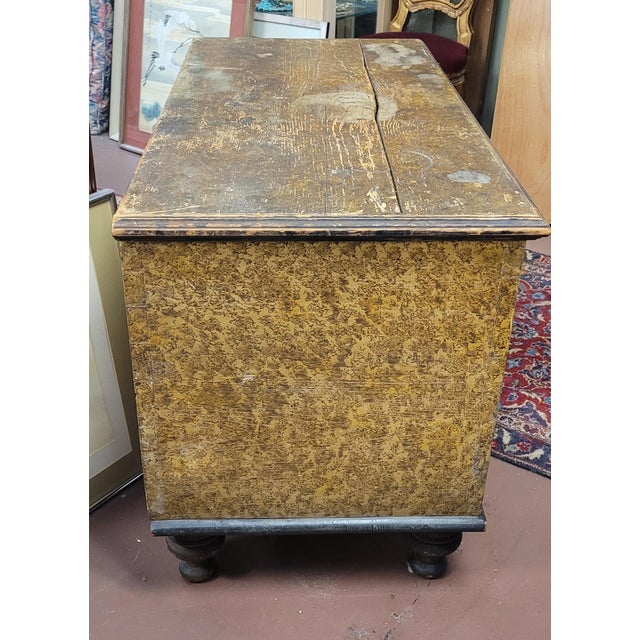Early 19th Century Sponge Painted Blanket Chest For Sale In Philadelphia - Image 6 of 13