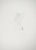 Salvador Dali, Measure for Measure, Original Engraving For Sale - Image 6 of 6