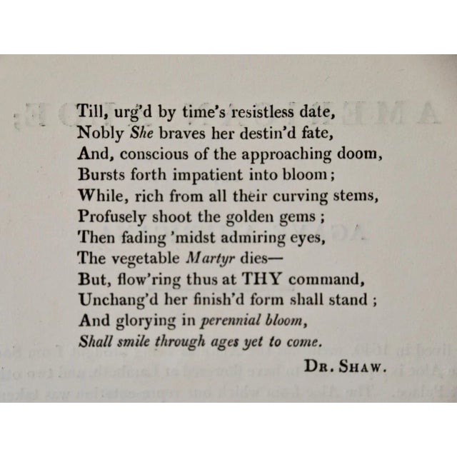 Sculpture Materials Agave or American Aloe: A Framed Hand-Colored Engraving From Robert Thornton, 1811 For Sale - Image 7 of 8