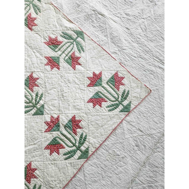 American Antique Hand Appliquéd Floral Quilt C. 1880–1920 | Folk Art Tulip Pattern For Sale - Image 3 of 7