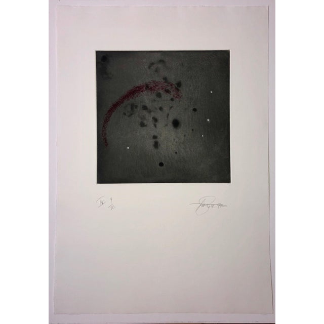 Pat Steir, Comet, Outer Space Dark Series Aquatint Etching Color Abstract Expressionist, 1997 For Sale In Miami - Image 6 of 6