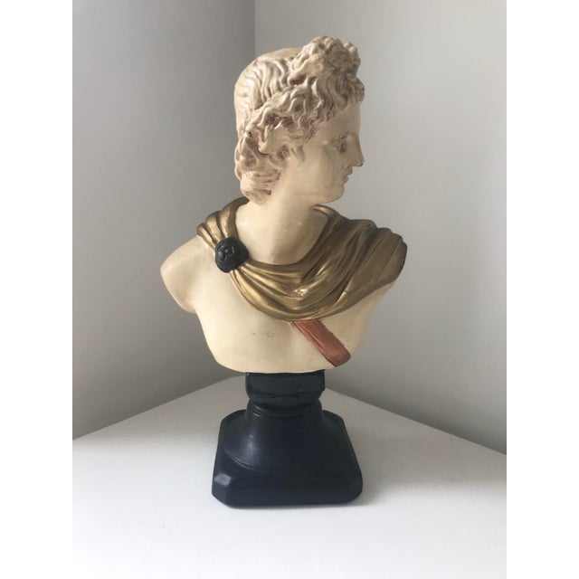 Rustic Painted Greek Figurine Apollo Bust For Sale - Image 3 of 10