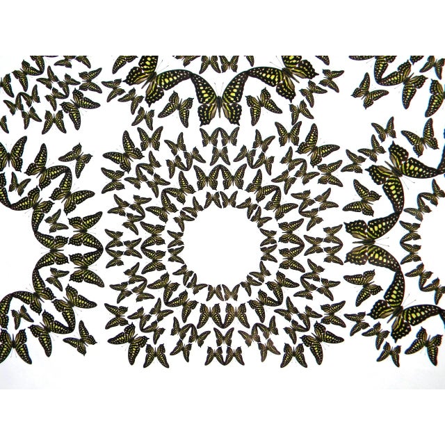 Jean Orlebeke Original Geometric Green Butterflies Print For Sale - Image 4 of 9