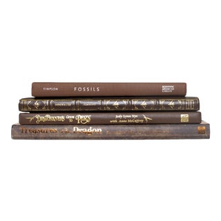 Fantasy-Fossil Coffee Table Books - Set of 4 For Sale