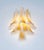 Vintage Italian Murano Wall Lights with 10 Acid-Etched Amber Glass Petals, 1990s, Set of 2 For Sale - Image 13 of 17