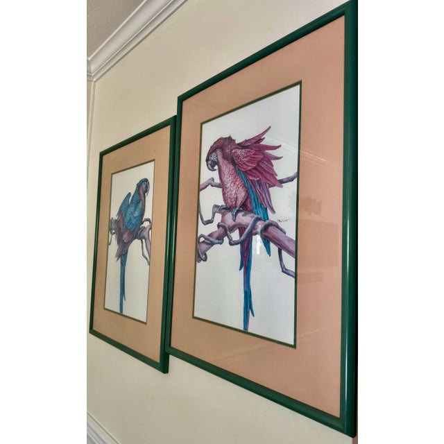 1980s Parrot Framed Prints by Paul Brent - Set of 2 For Sale - Image 4 of 12