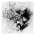 Ugne Pouwell, Lily in Charcoal No.5, 2023, Abstract Expressionism Photography, Edition of 10 For Sale