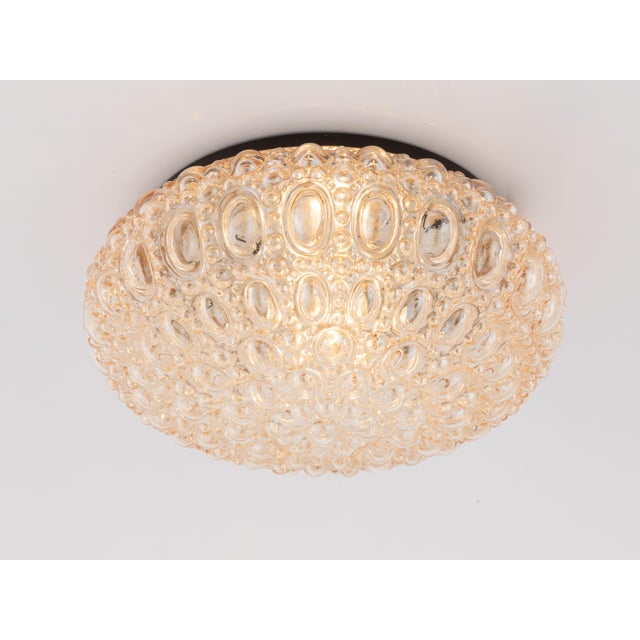 1960s 1960s Helena Tynell Glashutte Limburg Flush Mount Amber Bubble Glass For Sale - Image 5 of 10