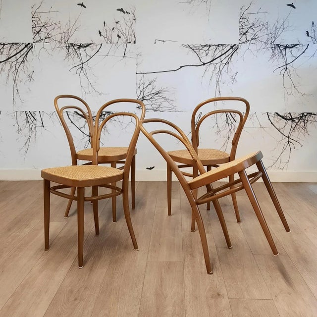 The contemporary Thonet chair No. 214 was originally designed by Michael Thonet in 1859 as chair No. 14. Together with...