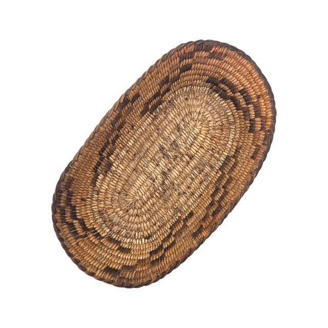 Tohono O’odham Papago Oval Coiled Basket Tray With Coyote Track Motif 8" For Sale - Image 10 of 10