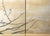 Wood "Sakura and Mejiro Birds", 1970s Showa Era Japanese Byobu Screen For Sale - Image 7 of 18