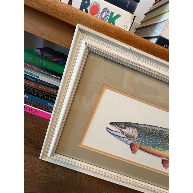 Vintage Framed Trout Fish Prints Cabin Coastal Wall Art - A Pair For Sale - Image 4 of 11