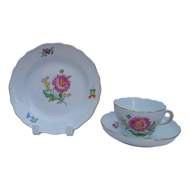 Vintage Porcelain Coffee and Tea Trio Set with Hand-Painted Aster Motif from Meissen, 1970, Set of 3 For Sale