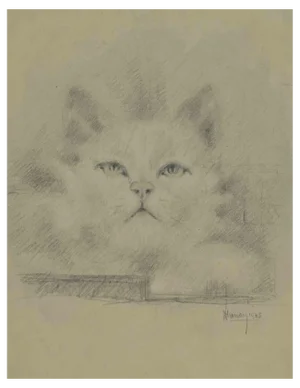 Augusto Monari, The Kitten, Drawing in Pencil, Early 20th Century