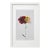 Framed Organic Modern Minimalist Flower Study | Botanical Painting | Herbarium Wall Art For Sale